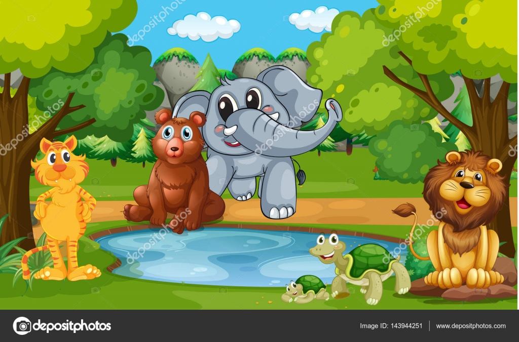 Wild Animals Living In The Forest Stock Vector C Interactimages