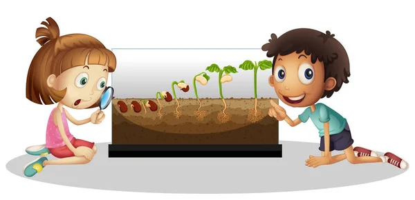 Niños mirando el cultivo de plantas — Vector de stock