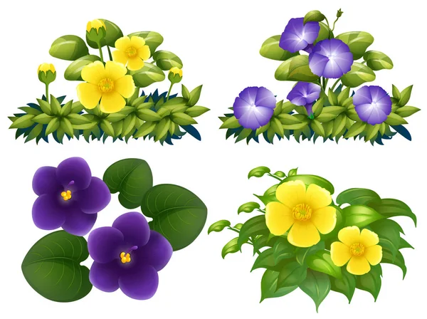 Different types of flowers in bush — Stock Vector