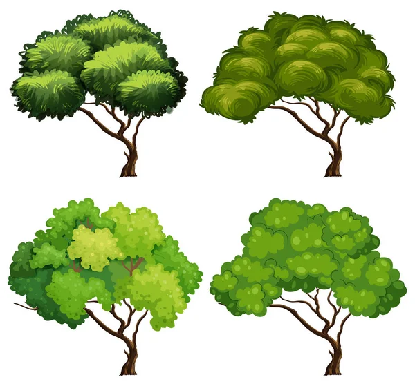 Four types of trees — Stock Vector