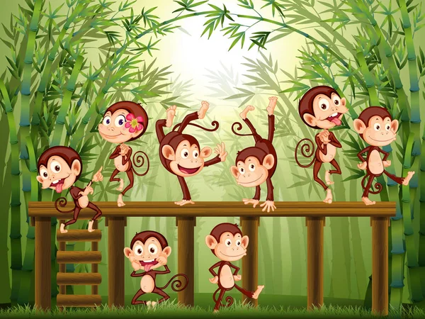 Scene with monkeys in the bamboo forest — Stock Vector