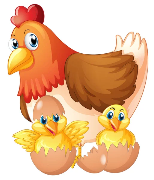 Mother hen and two chicks in eggs — Stock Vector