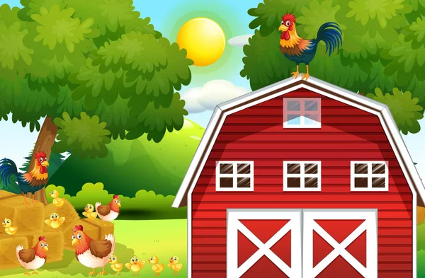 Farm scene with chickens on the barn — Stock Vector
