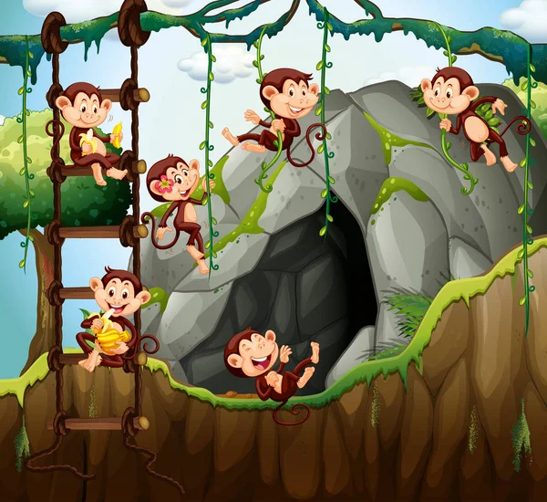 Scene with monkeys playing in the cave — Stock Vector
