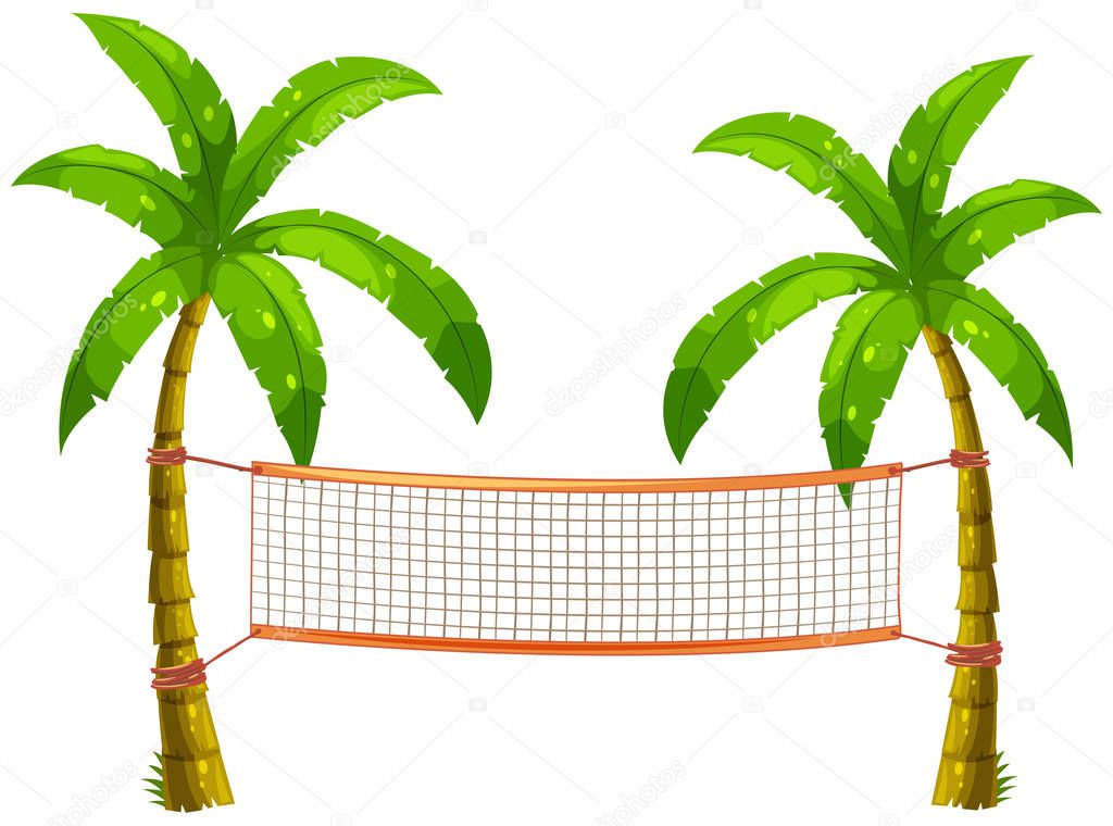 Volleyball net on coconut trees