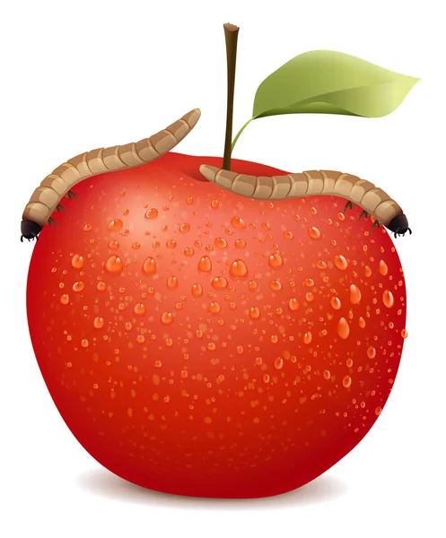 Красное яблоко с двумя червями на нем — стоковый вектор