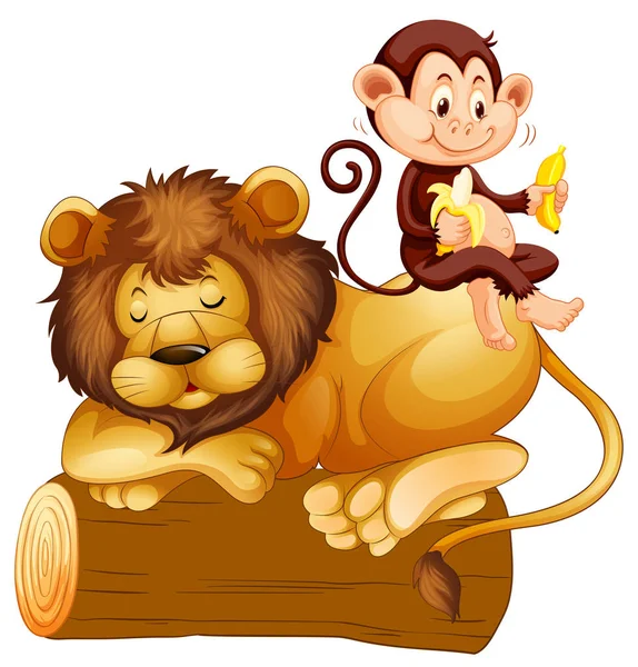 Monkey sitting on lion — Stock Vector