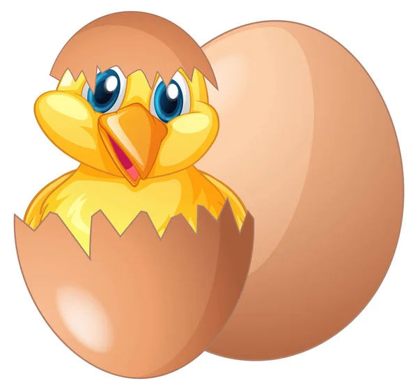 Chick saliendo de huevo — Vector de stock