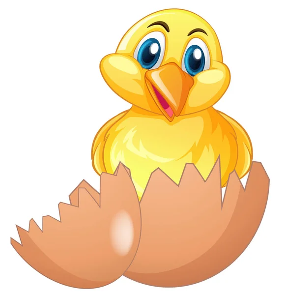 Cute chick in cracked egg — Stock Vector