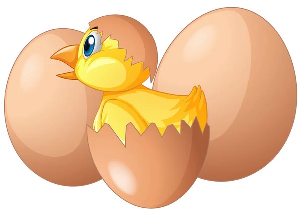 小さなひよこの卵を孵化 — ストックベクタ
