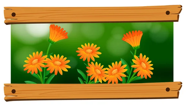 Background design with orange flowers — Stock Vector