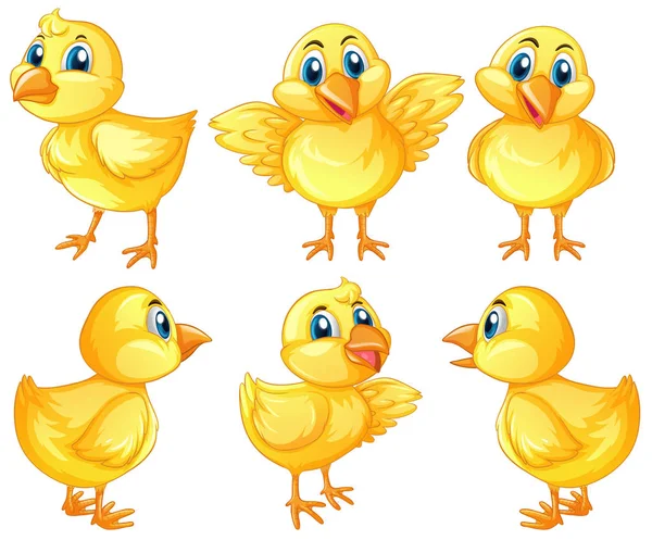 Six cute chicks on white background — Stock Vector