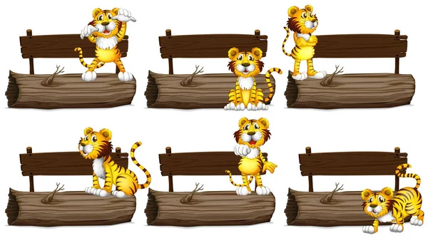 Wooden signs with tigers — Stock Vector