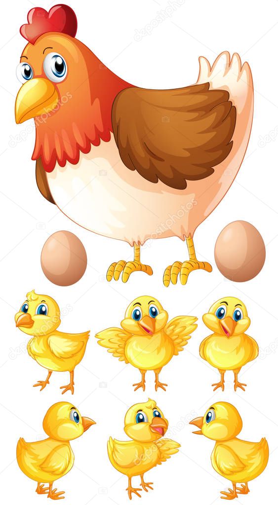 Hen and six chicks