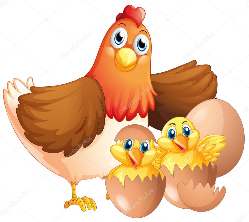 Mother hen and two chicks