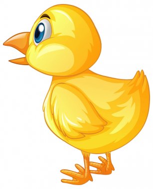 Arkasında küçük civciv