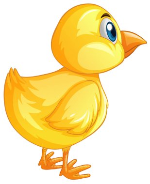 Küçük civciv geri dönüş