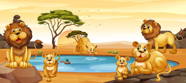 Leones que viven junto al estanque — Vector de stock