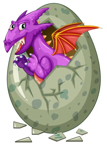 Dragon comes out of egg — Stock Vector