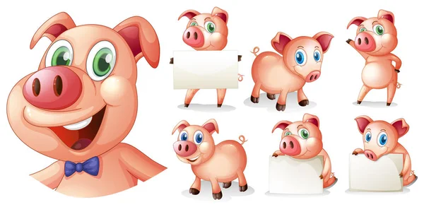 Schweine in verschiedenen Positionen — Stockvektor
