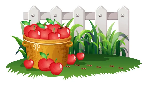 Cesta de manzanas en el jardín — Vector de stock