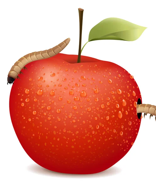 Červené jablko s dvěma červy — Stockový vektor