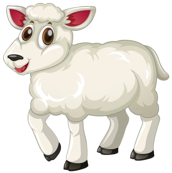Vita lamm på vit bakgrund — Stock vektor