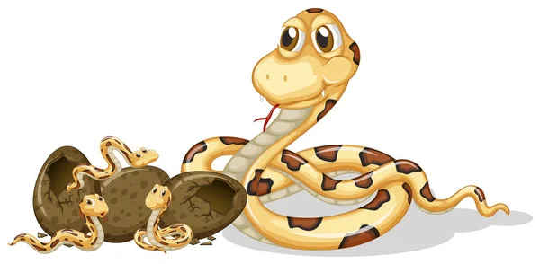 Rattle snakes hatching eggs — Stock Vector