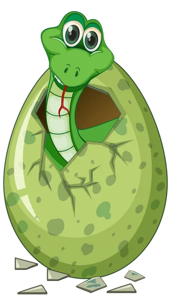 Serpiente verde huevo para incubar — Vector de stock