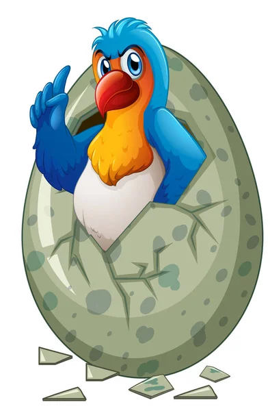 Baby macaw hatching egg — Stock Vector