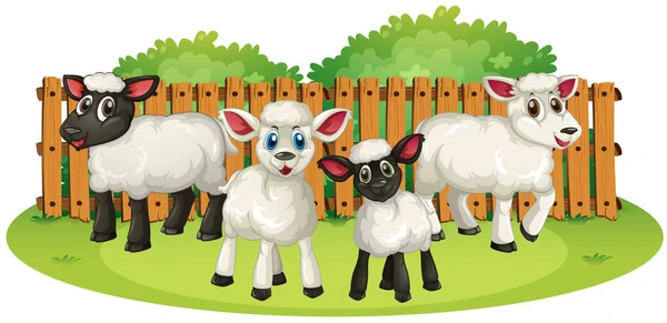 Quatre agneaux à la ferme — Image vectorielle