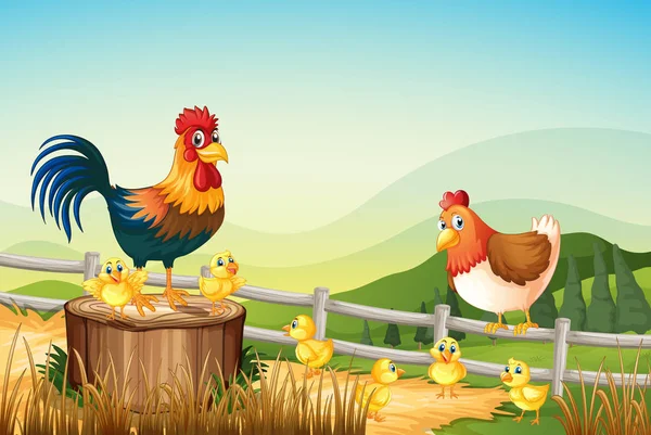 Chickens living on the farmland — Stock Vector