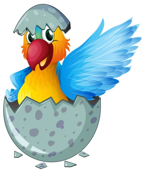 Papagaio arara ovo para incubação — Vetor de Stock