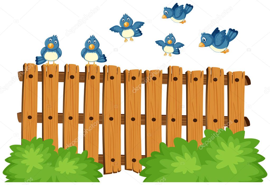 Blue birds flying over wooden fence