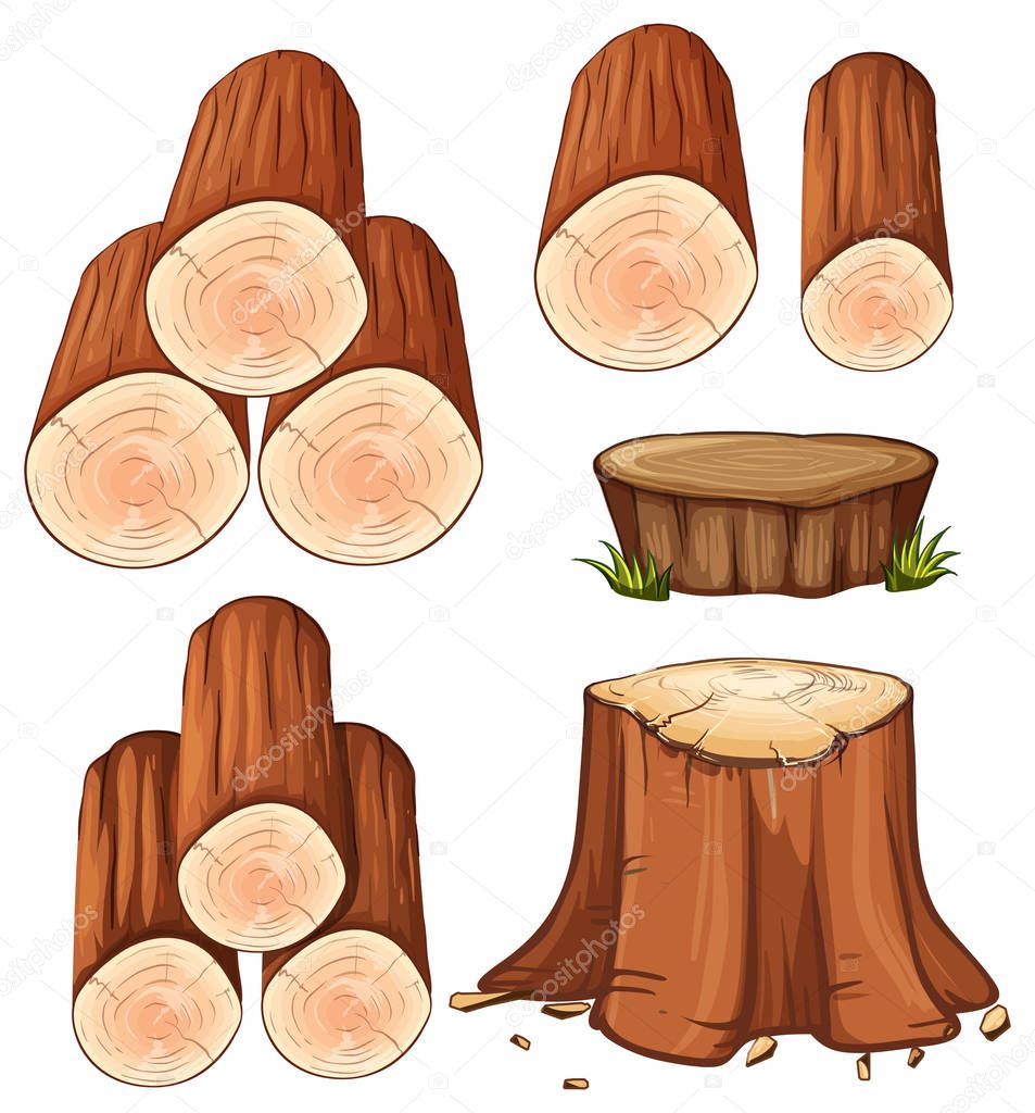Woods and stump trees