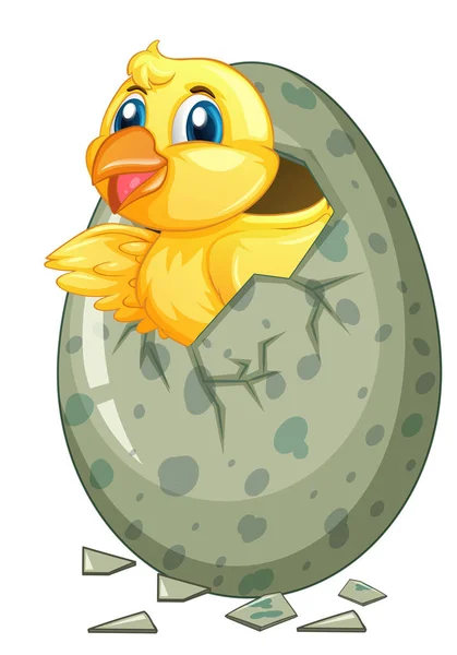 Little chick comes out of gray egg — Stock Vector