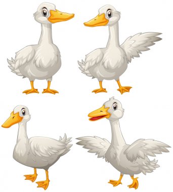 Dört farklı eylemler ördek