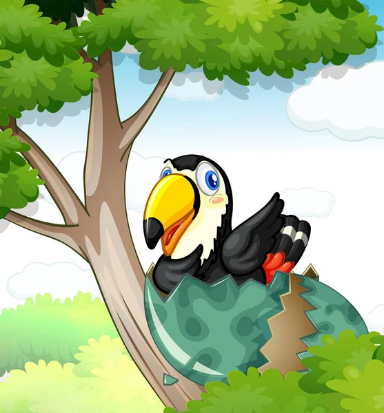Ptak Tukan wylęgu jaj na drzewo — Wektor stockowy