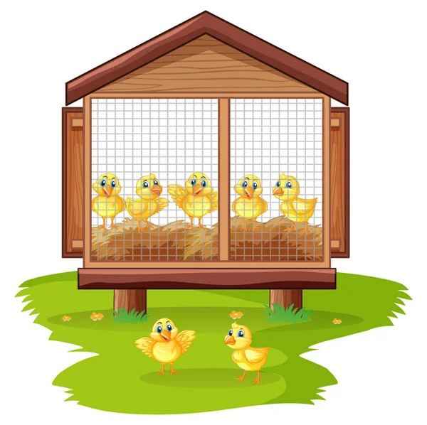 Små kycklingar i hönshuset — Stock vektor