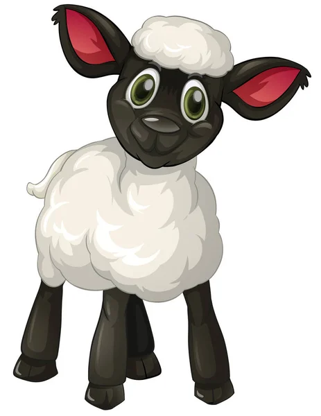 Little lamb on white background — Stock Vector