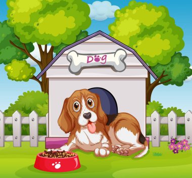 Köpek kulübesinde yaşayan