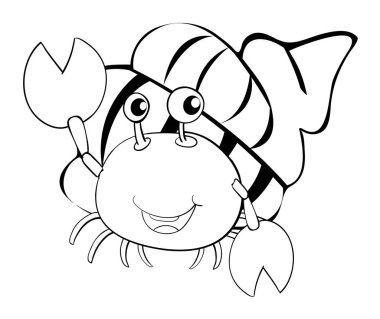 Doodles'ın hayvan Yalnızcıl Yengeç için hazırlanması