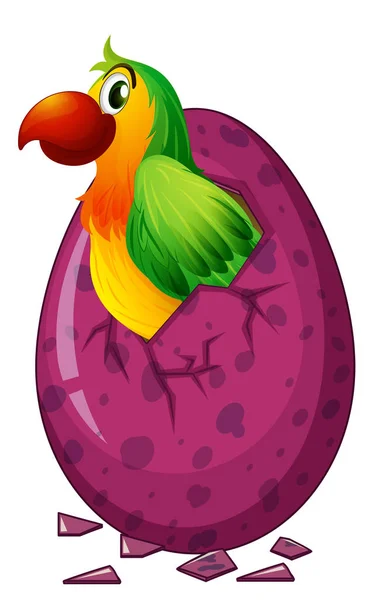 Papagaio verde ovo para incubação —  Vetores de Stock