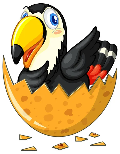 Œuf à couver Toucan oiseau — Image vectorielle