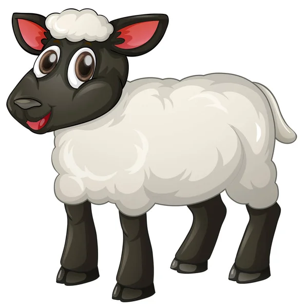 Lamb standing on white background — Stock Vector
