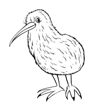 Kivi kuş için hayvan anahat