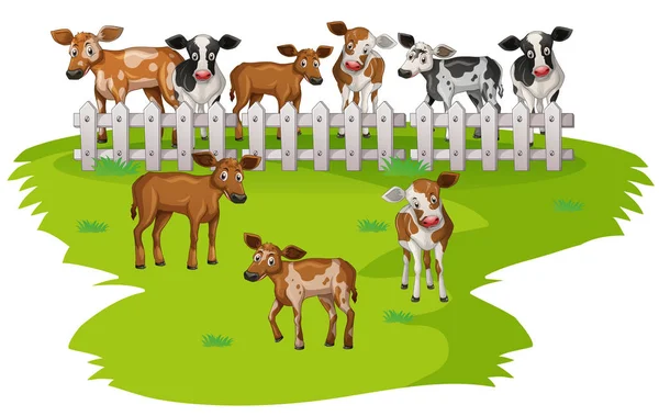 Muchas vacas en el corral — Archivo Imágenes Vectoriales