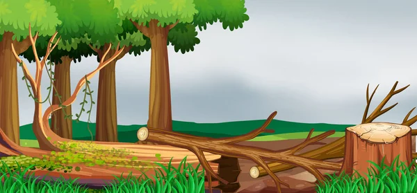 Scène avec forêt et bois hachés — Image vectorielle