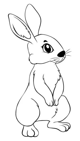 Tavşan için hayvan anahat — Stok Vektör