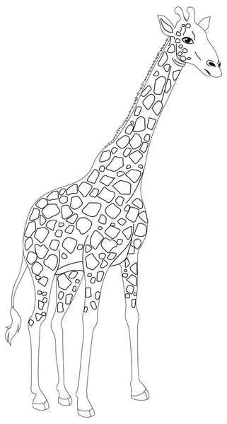 Animal Outline For Giraffe Stock Vector Animal Outline For Giraffe Stock Vector